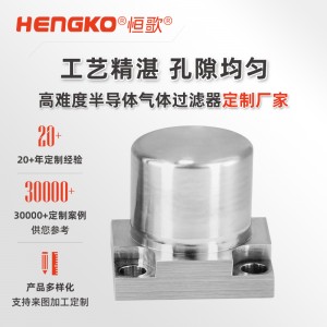 高精度IGS面板專用過濾器_半導(dǎo)體行業(yè)集成氣體輸送與控制系統(tǒng)