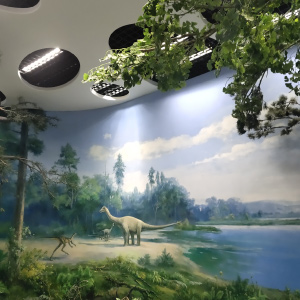 41743E250F9E276B33C1E8A633058258