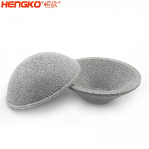 廠家直銷不銹鋼燒結(jié)濾芯_耐高溫耐腐蝕不銹鋼濾芯適用于污水處理