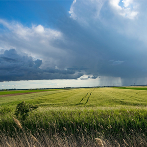 智慧農(nóng)業(yè)是如何改變農(nóng)業(yè)的？